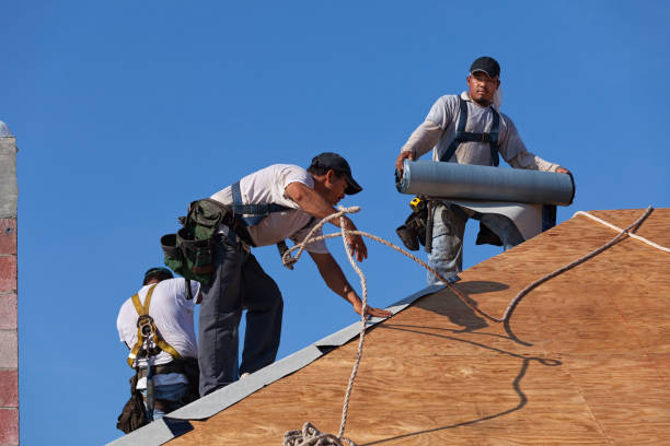Best Roof Gutter Cleaning  in Chelsea, MI